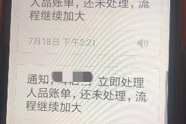 岗巴专业讨债公司有哪些核心服务？